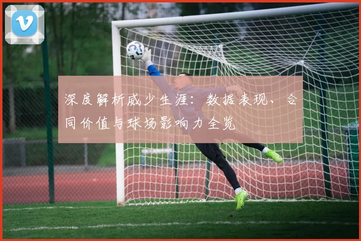深度解析威少生涯：数据表现、合同价值与球场影响力全览